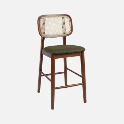 Barkruk van walnootkleurig hout en rotan 66,5 cm (set van 2)