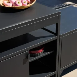 Buitenkeuken 3 modules roestvrij staal