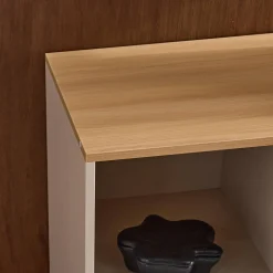 Dressoir met 1 deur metaal en houtdecor 80cm