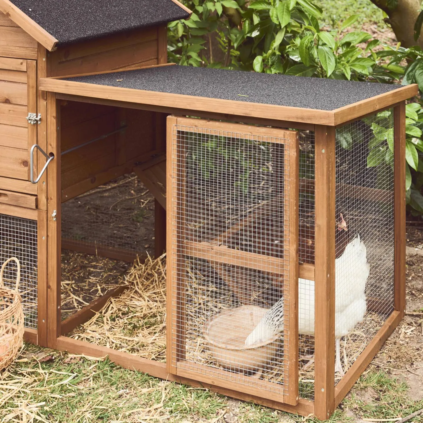 Houten kippenhok met ren voor 4 kippen