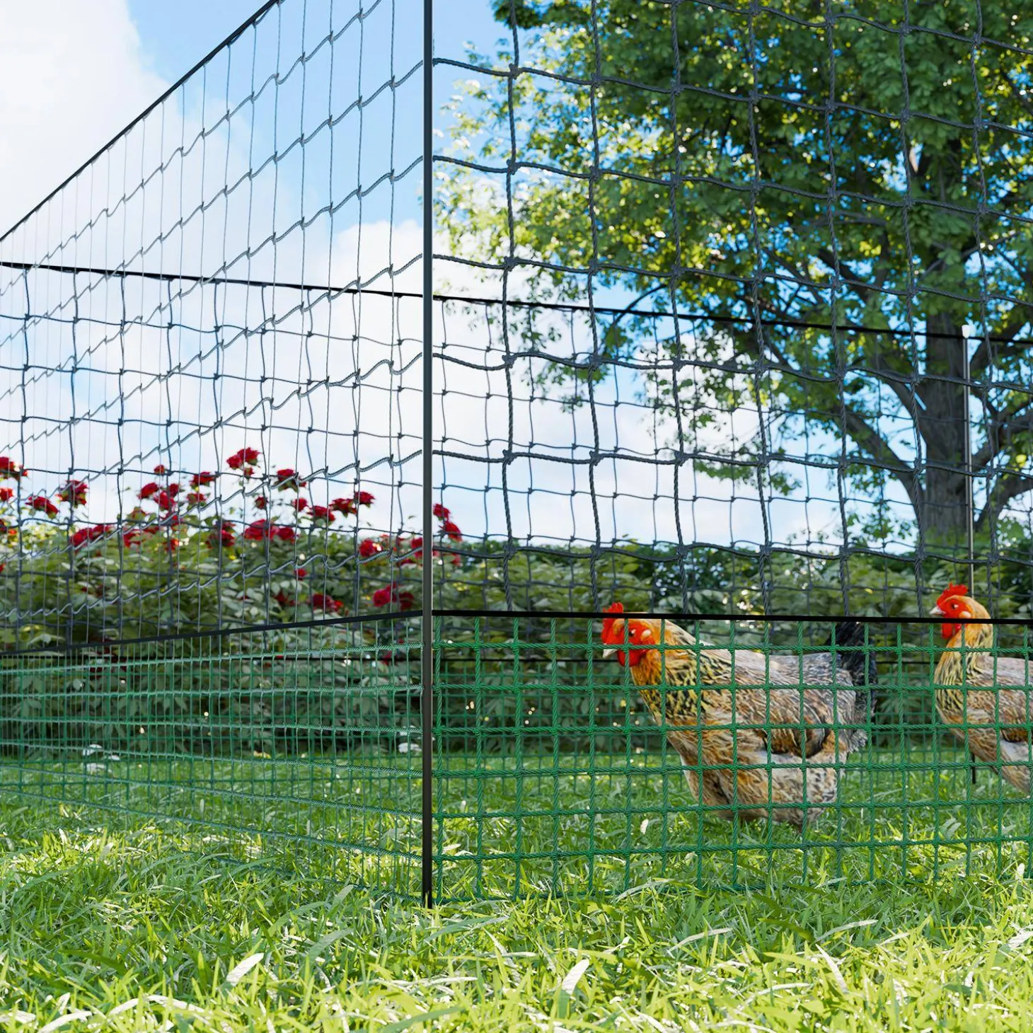 Kippennet met piketten