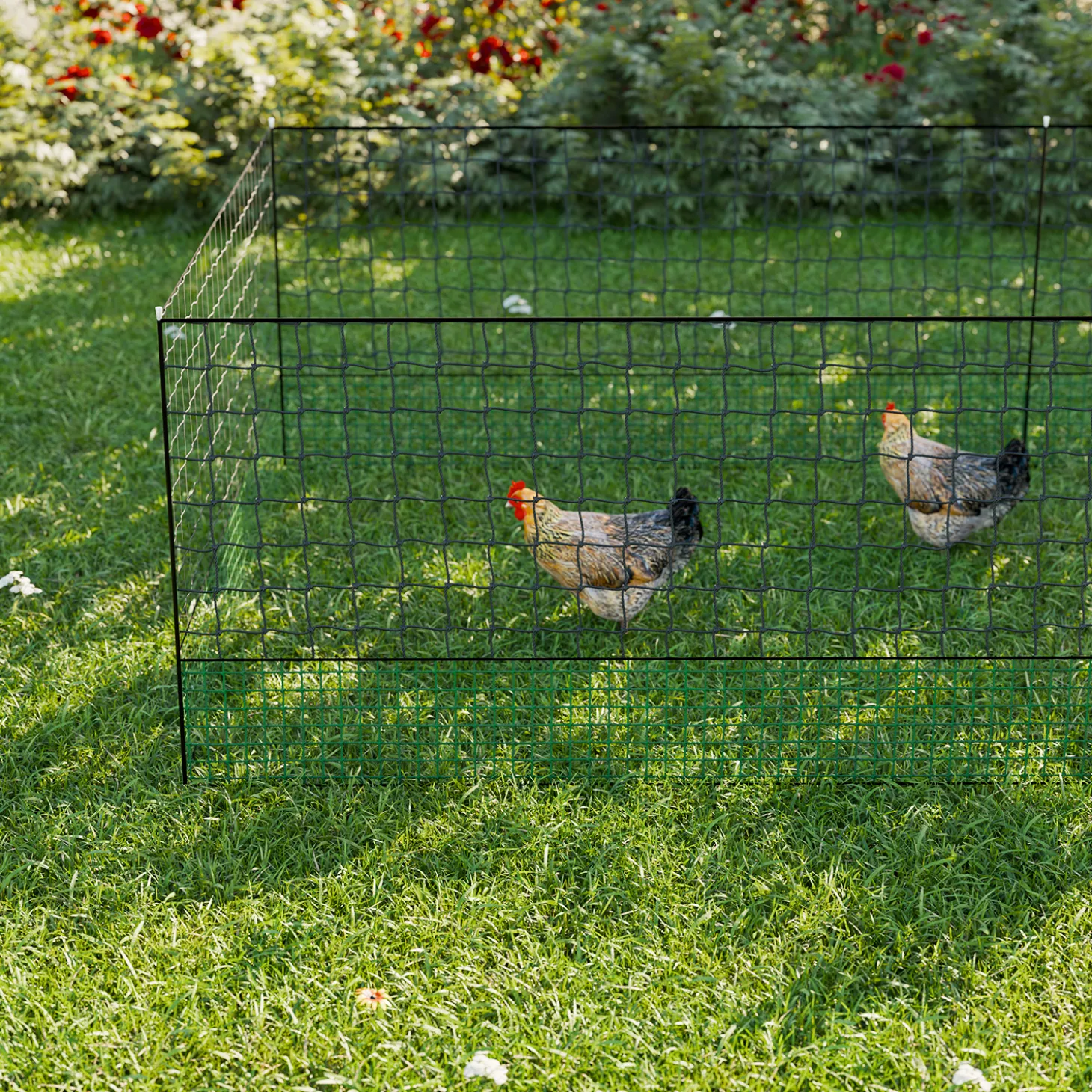 Kippennet met piketten
