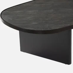 Ovale salontafel mangohout en steenfineer