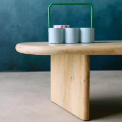 Ovale salontafel van mangohout