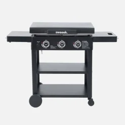3-pits gasplancha van roestvrij staal 12kW met trolley en kookgerei