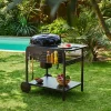 Ronde houtskoolbarbecue Ø53cm met kar staal