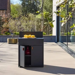 Stalen buitenkeukenmodule met 2 deuren L80cm