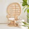 Vintage rotan fauteuil, B 110 x D 60 x H 150cm