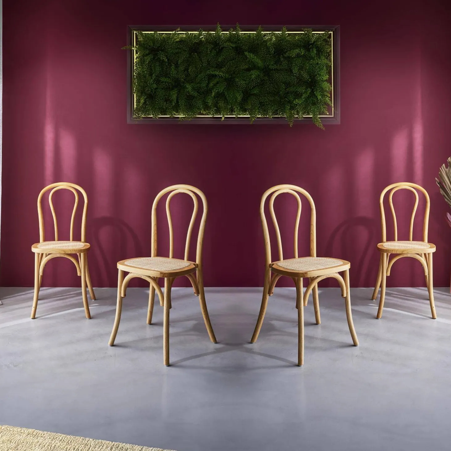 Vintage rubberhouten en rotan stoelen (set van 4)