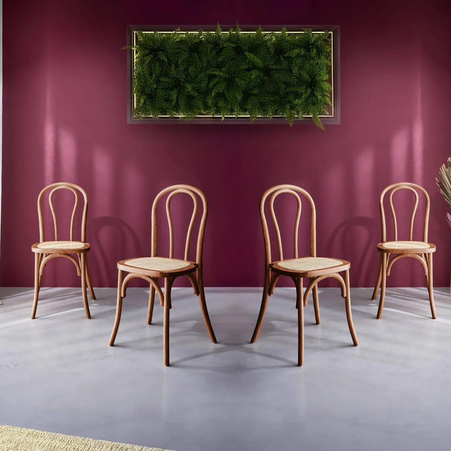 Vintage rubberhouten en rotan stoelen (set van 4)