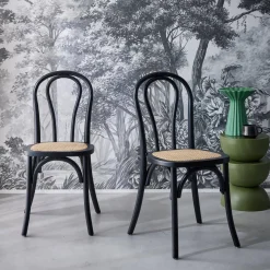 Vintage rubberhouten en rotan stoelen (set van 2)