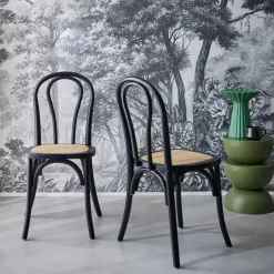 Vintage rubberhouten en rotan stoelen (set van 2)